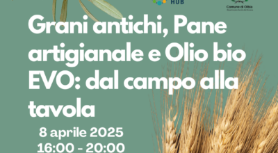 Grani antichi, pane artigianale e olio bio EVO: dal campo alla tavola