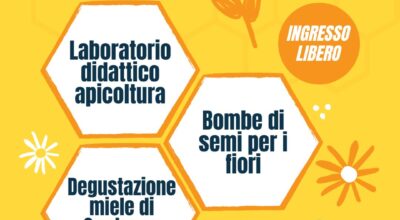 Giornata mondiale delle api: un evento speciale per celebrare questi preziosi insetti!