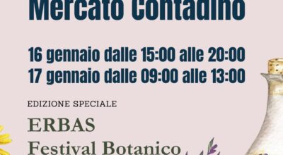 Mercato Contadino dell’Olbia Community Hub con ERBAS – Festival botanico
