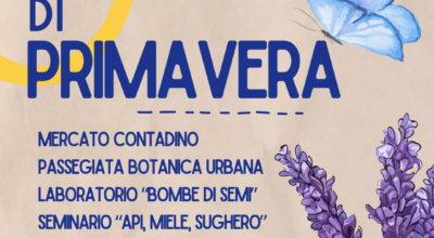 Festa di Primavera all’Olbia Community Hub